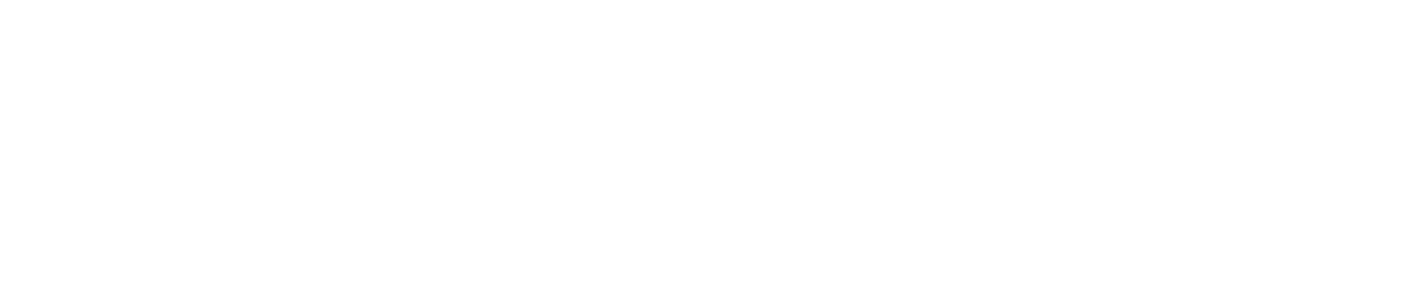 Rankmi 2021_logo blanco-1